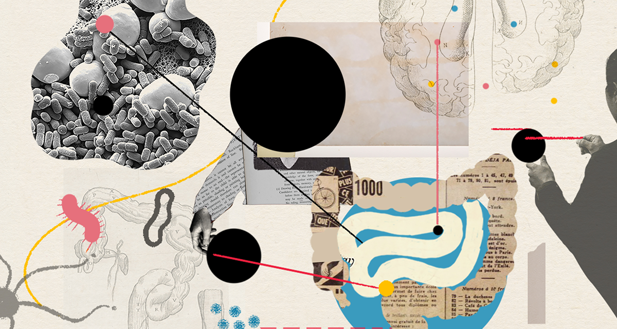 Connection Between the Microbiome and Autism