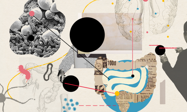 Connection Between the Microbiome and Autism