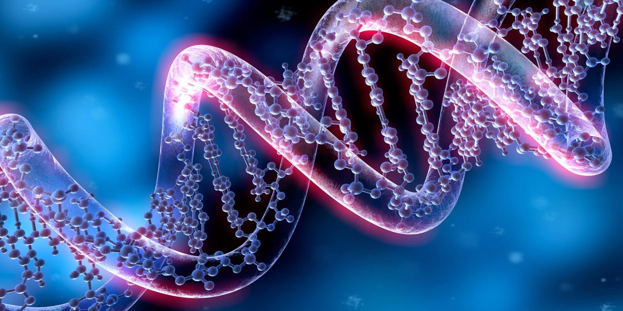 The “Three-Hit” Metabolic Model: A New Way of Understanding Autism