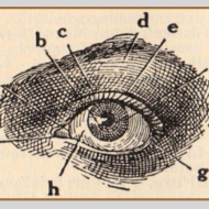 Eye Problems and Autism