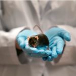 Israeli Study and Autism Symptoms Reduction