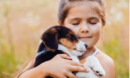 Best Pets for Autistics