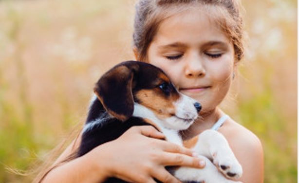 Best Pets for Autistics